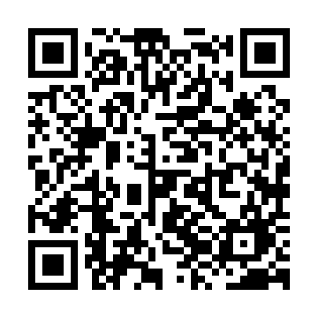 QR code for XZH11G