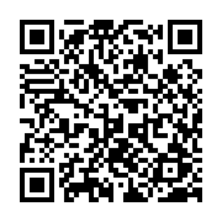QR code for YAI12R