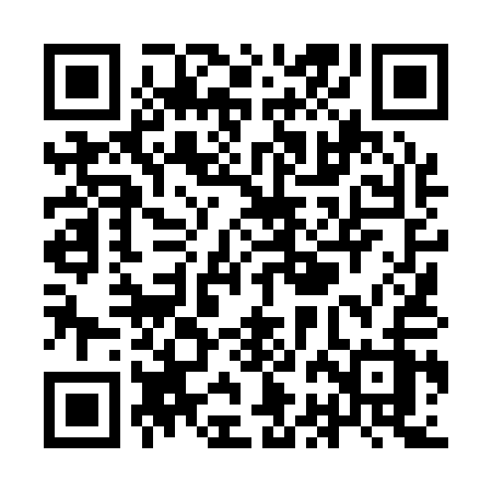 QR code for YBL11Z
