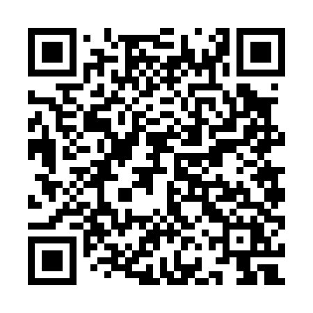 QR code for YFV04X