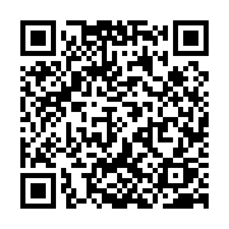 QR code for YFV13P