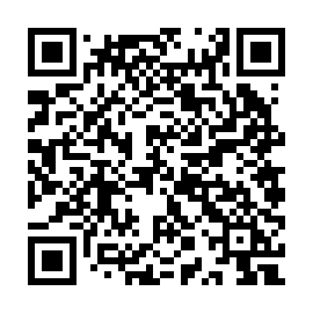 QR code for YPV20I
