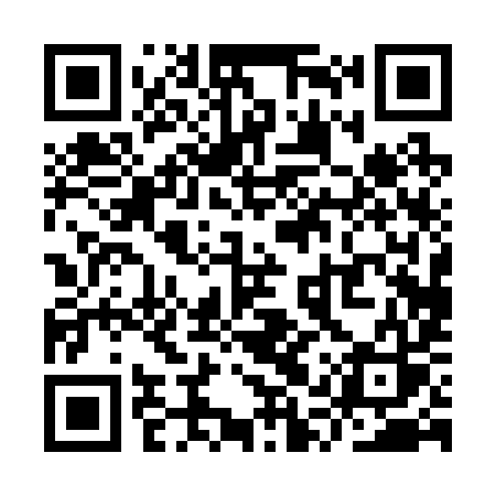 QR code for YQP29S
