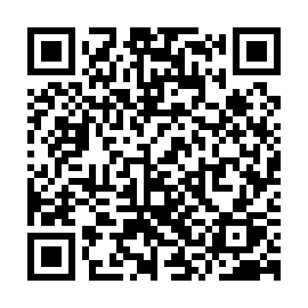 QR code for YSG13P