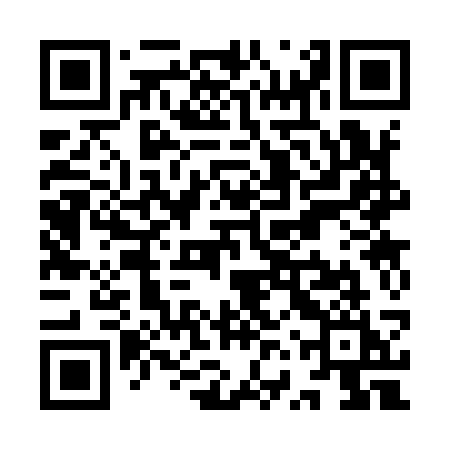 QR code for YVS93I