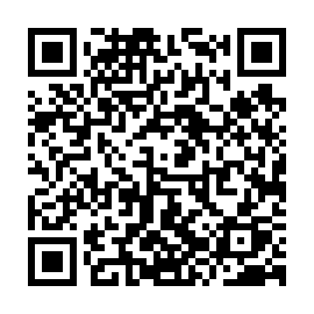 QR code for YZT63P