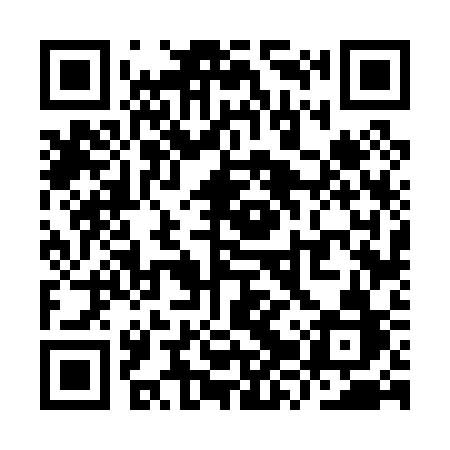 QR code for YZV03B