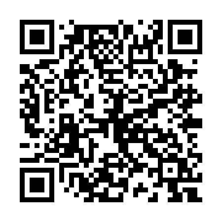QR code for Z38PAV