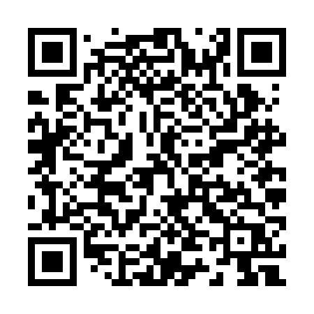 QR code for Z46BFP