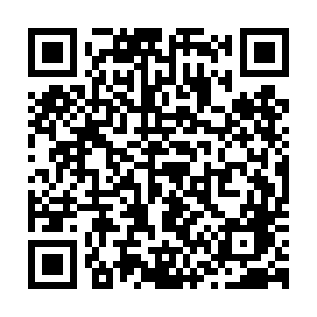 QR code for Z61DDG