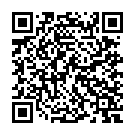 QR code for Z80DLV