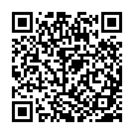 QR code for Z80HLI