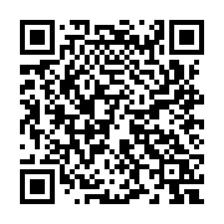 QR code for Z80IRS