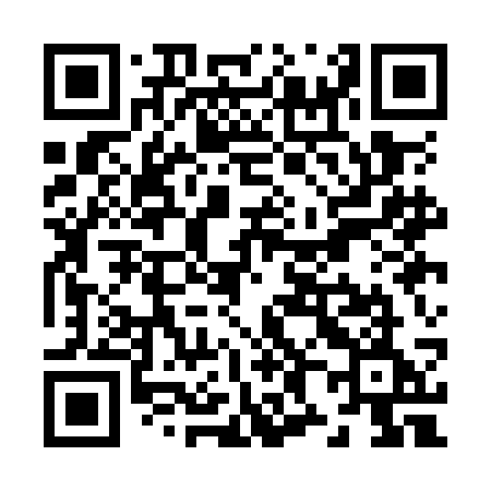 QR code for Z81OCE