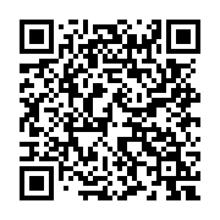 QR code for Z81OWN