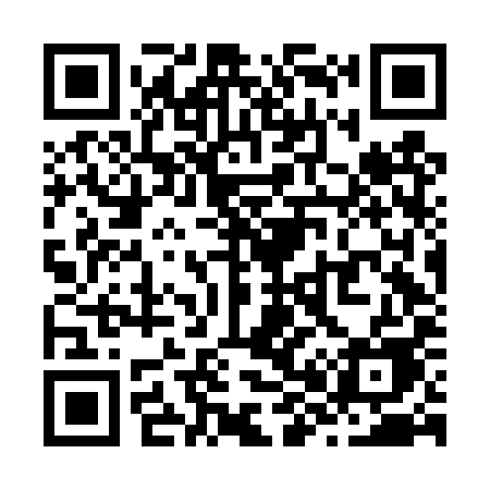 QR code for Z86DYE