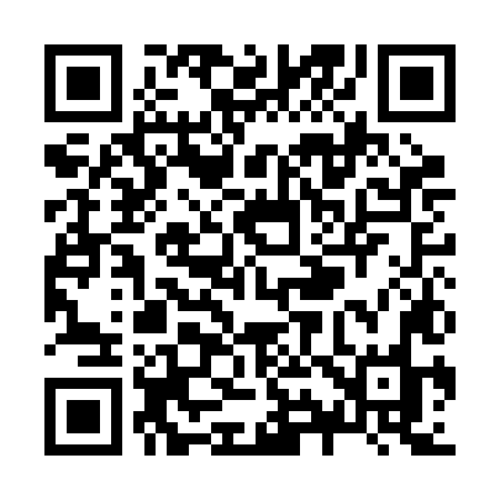QR code for Z91BLO