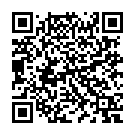 QR code for Z91MCP