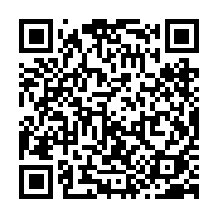QR code for Z91RAI