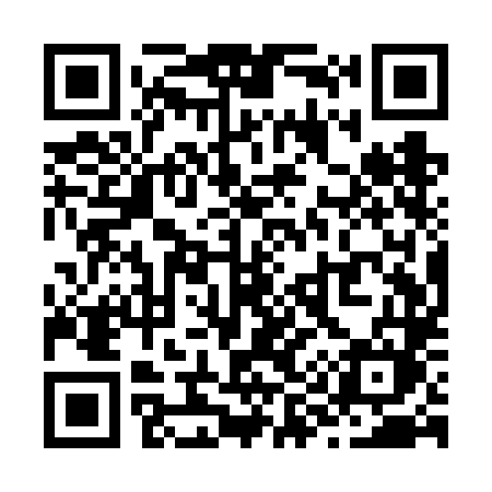 QR code for Z91VLM
