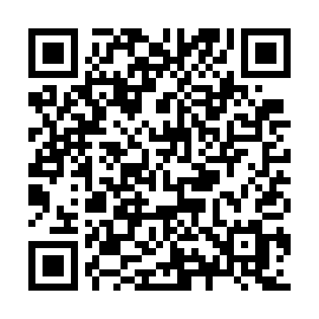 QR code for Z91WAM