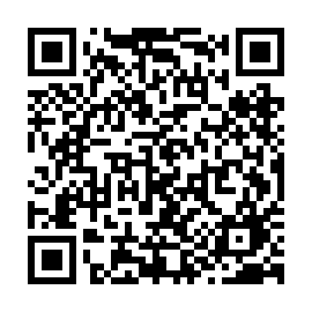 QR code for Z95BAG