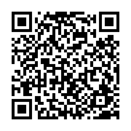 QR code for Z95DRV