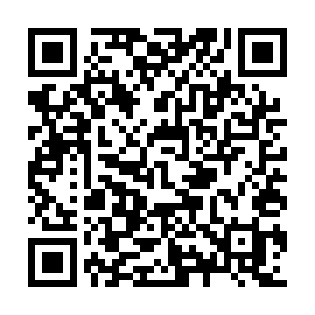 QR code for Z95QEI