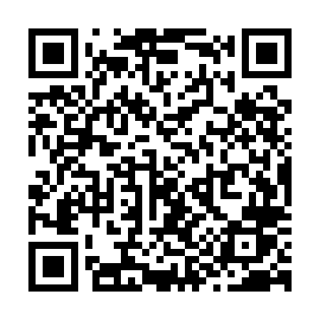 QR code for Z95QLR