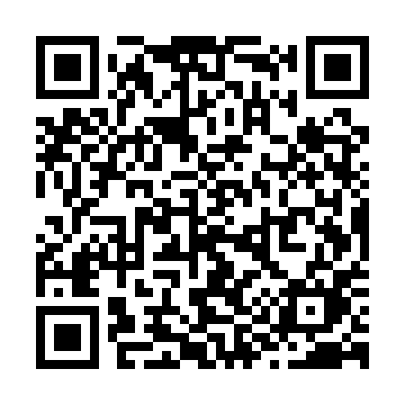 QR code for Z95QPM