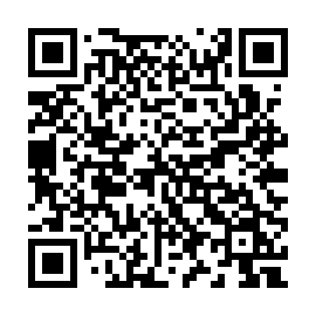 QR code for Z95QPN