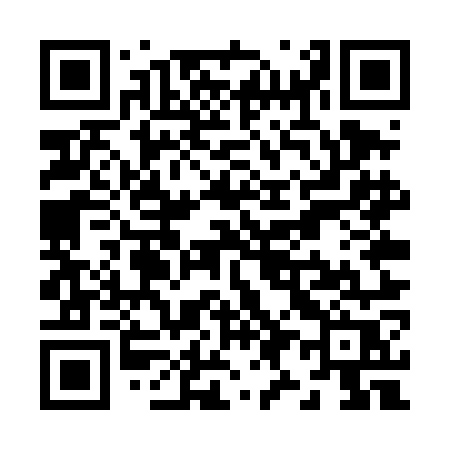 QR code for Z95TOR