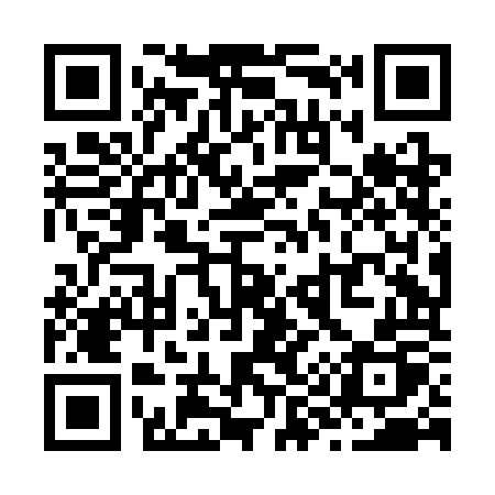 QR code for Z98COP