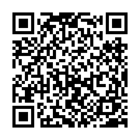QR code for Z99RFU