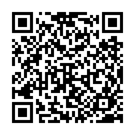 QR code for Z99WAN