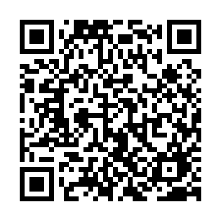 QR code for ZCE11G