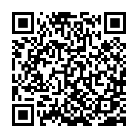 QR code for ZCH04Q