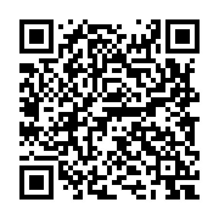 QR code for ZDL95I