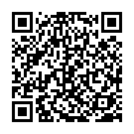 QR code for ZFX53H