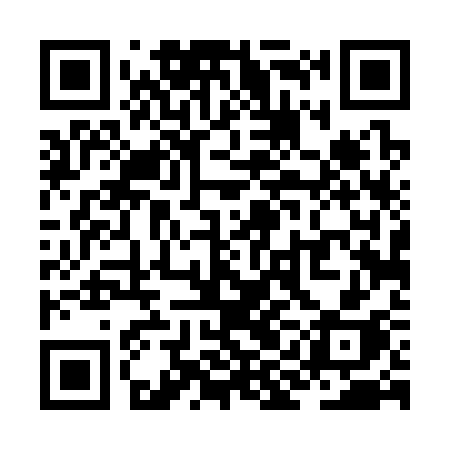 QR code for ZID33H