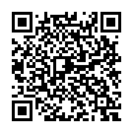 QR code for ZLO13G
