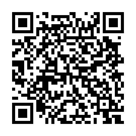 QR code for ZLS09I