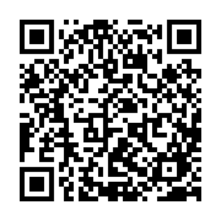 QR code for ZPP29G