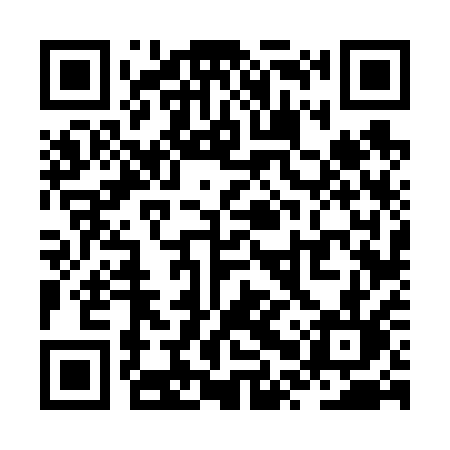 QR code for ZPV61L