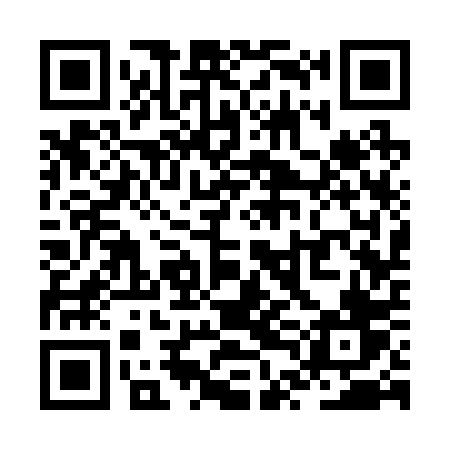 QR code for ZTC20V