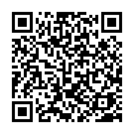 QR code for ZTD13A