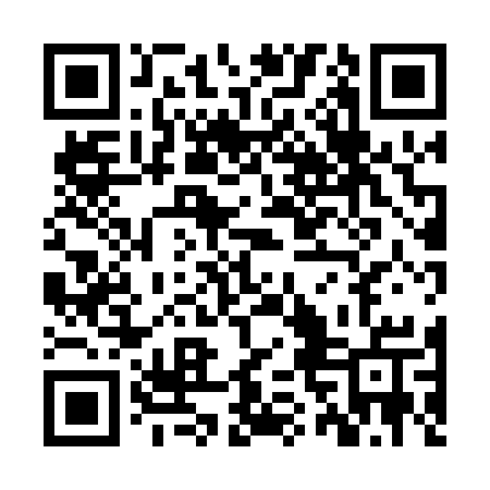 QR code for ZVH03U