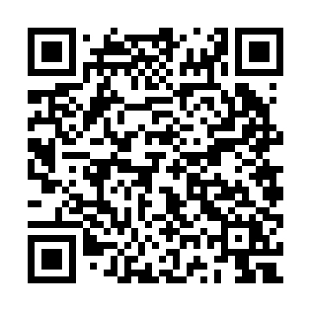 QR code for ZWV20X