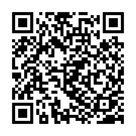 QR code for ZXI20Q