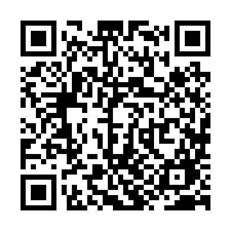 QR code for ZYH29G